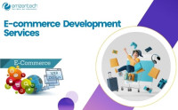 Professional E-Commerce Development Services for Your Business