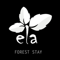 Ela Forest Stay - Kerala Jungle Resort