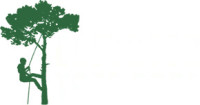Elevated Tree Care