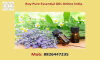 AG Organica Pure Kumkumadi Oil for Sale Online