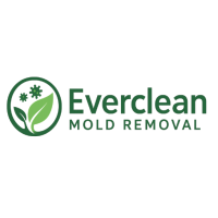 Everclean Mold Removal