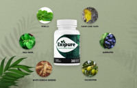 Exipure Reviews – Is It Worth the Money? Customers Know This First!