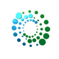 Clean Free Carpet Cleaning & More