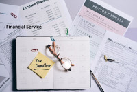 Velocity Accounting Services