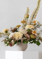 Fiore Designs