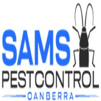 Possum Removal Canberra