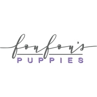 Fou Fou Puppies . Ae