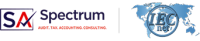 Choosing the Best Audit Firms in Dubai for Your Business Needs