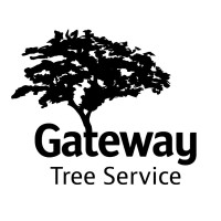Gateway Tree Service – Professional Tree Removal & Emergency Tree Service in Lake City, FL