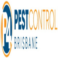 Silverfish Control Brisbane