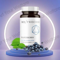 What is the price of GlucoBerry MD Process?