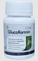 Glucofomin: A Smart Support for Diabetes Management