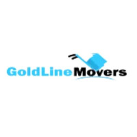 Professional Movers and Packers in Dubai
