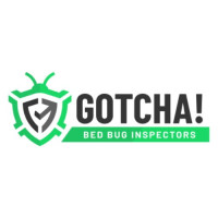 Gotcha! Bed Bug Inspectors