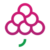 GrapesTech Solutions - Shopify Development Company