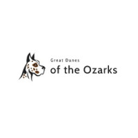 Great Danes of the Ozarks