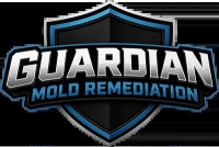 mold remediation erlanger ky