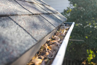 Paps Exterior Painting LLC in Venice, Fl