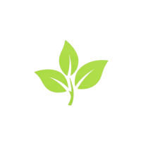 Premium Herbal Supplements Online in UAE – HerbalDubai Store