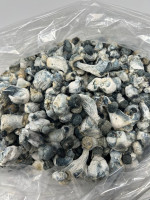 AYAHUASCA FOR SALE