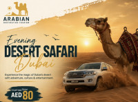 Dubai Desert Safari