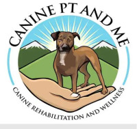 IVDD In Dogs Treatment