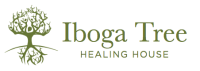 Ibogaine Treatment Europe