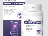 Indiva System: A Weight Loss Companion