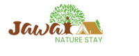 Luxury Leopard Safari Jawai