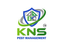 Pest Inspection and Treatment Services in Islamabad