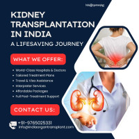 Cheapest Kidney Transplant Hospital in India