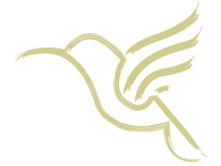 Kolibri Trading