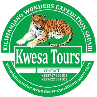 Kwesa Tours