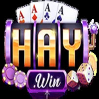 haywin8com