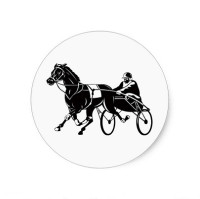 Race Equine Supply