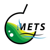 Middle East Testing Services (METS Lab)