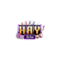 Haywin Chính Thức – Sân Chơi Cá Cược Uy Tín Hàng Đầu 2026