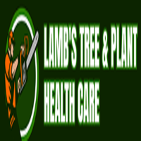 Local Tree Removal Experts Serving Westbrook, CT