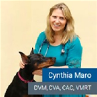Cynthia Maro DVM