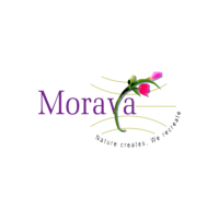 Moraya Global