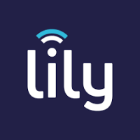 LILY COMMUNICATIONS LTD