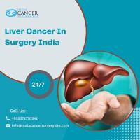 Affordable Liver Treatment Package India