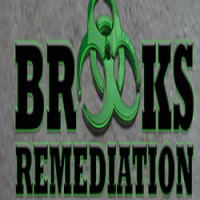 Get the best water mitigation and mold remediation cleanup services queens