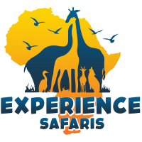 Experience Safaris