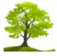 Oak Hill Bookkeeping Service