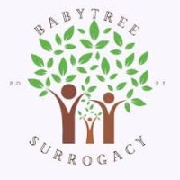 Educational, Ethical Surrogacy Support in California