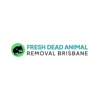 Fresh Dead Animal Removal Brisbane