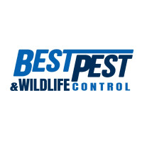 Best Pest Wildlife