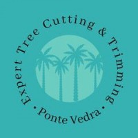 Expert Tree Cutting & Trimming