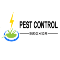 Pest Control Maroochydore